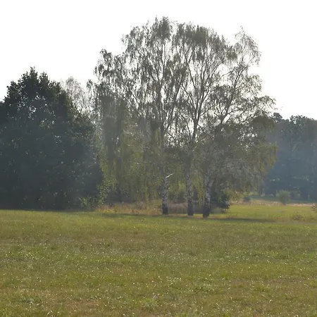 Tesla 10km Pure Nature Daire Beerfelde
