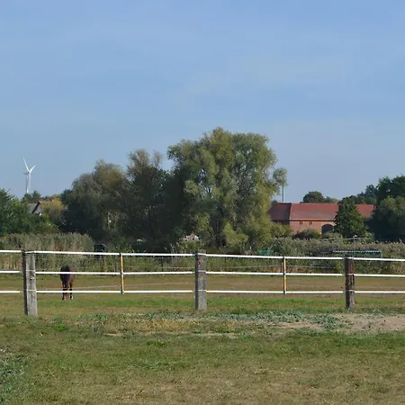 Tesla 10km Pure Nature Beerfelde
